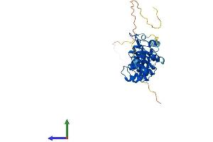 AlphaFold protein structure predicition of Human Recombinant NFKBIA Protein, UniprotID P25963