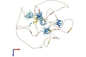 AlphaFold protein structure predicition of Human Recombinant SH3D19 Protein, UniprotID Q5HYK7