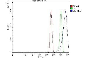 Flow Cytometry analysis of U251 cells using anti-Septin 2/SEPTIN2 antibody (ABIN7599275). (Septin 2 anticorps  (AA 1-326))