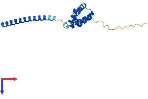 AlphaFold protein structure predicition of Mouse Recombinant Ldoc1 Protein, UniprotID Q7TPY9