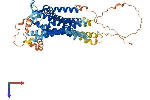 AlphaFold protein structure predicition of Mouse Recombinant Rxfp3 Protein, UniprotID Q8BGE9