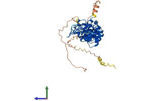 AlphaFold protein structure predicition of Human Recombinant NFKBIB Protein, UniprotID Q15653