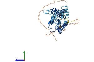 AlphaFold protein structure predicition of Human Recombinant SGMS2 Protein, UniprotID Q8NHU3