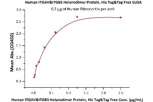 Immobilized Human Fibronectin at 2 μg/mL (100 μL/well) can bind Human ITGAV&ITGB3 Heterodimer Protein, His Tag&Tag Free (ABIN2870662,ABIN2870663) with a linear range of 0. (CD51/CD61 Protein (AA 31-992) (His tag))