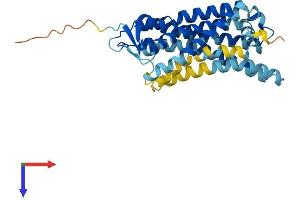 AlphaFold protein structure predicition of Human Recombinant OR56B4 Protein, UniprotID Q8NH76