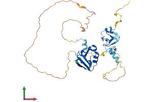 AlphaFold protein structure predicition of Mouse Recombinant Pdlim4 Protein, UniprotID P70271