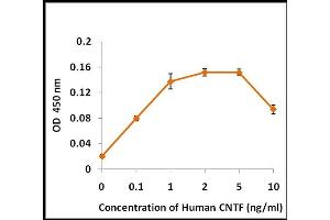 Activity Assay (AcA) image for Ciliary Neurotrophic Factor (CNTF) (Active) protein (ABIN5509411) (CNTF Protéine)