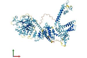 AlphaFold protein structure predicition of Human Recombinant TRPM8 Protein, UniprotID Q7Z2W7