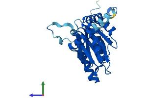 AlphaFold protein structure predicition of Human Recombinant PSMA7 Protein, UniprotID O14818