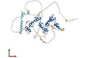 AlphaFold protein structure predicition of Human Recombinant ZNF205 Protein, UniprotID O95201