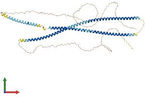 AlphaFold protein structure predicition of Mouse Recombinant Krt76 Protein, UniprotID Q3UV17
