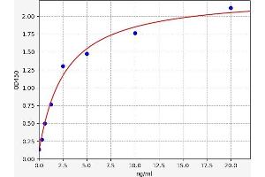 Typical standard curve (Ki-67 Kit ELISA)