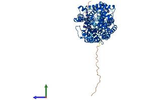 AlphaFold protein structure predicition of Mouse Recombinant Slc6a14 Protein, UniprotID Q9JMA9