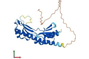 AlphaFold protein structure predicition of Human Recombinant TYW3 Protein, UniprotID Q6IPR3