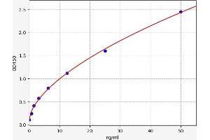 Typical standard curve (STK39 Kit ELISA)