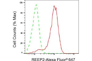 Flow cytometric analysis of REEP2 expression in HAP-1 cells using REEP2 antibody (ABIN7800154), 1:2,000). (Recombinant REEP2 anticorps)