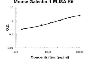 Mouse Galectin-1 PicoKine ELISA Kit standard curve (LGALS1/Galectin 1 Kit ELISA)