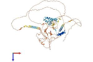 AlphaFold protein structure predicition of Mouse Recombinant Pou6f2 Protein, UniprotID Q8BJI4