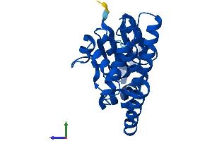AlphaFold protein structure predicition of Human Recombinant GSTA4 Protein, UniprotID O15217