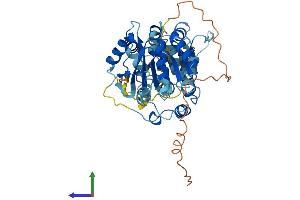 AlphaFold protein structure predicition of Mouse Recombinant Ddx25 Protein, UniprotID Q9QY15