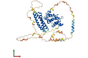 AlphaFold protein structure predicition of Human Recombinant TOM1L2 Protein, UniprotID Q6ZVM7