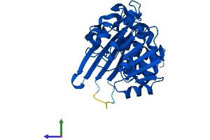AlphaFold protein structure predicition of Human Recombinant CRYM Protein, UniprotID Q14894