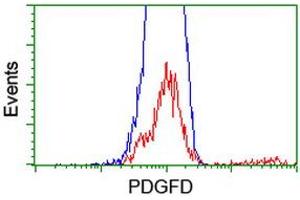 HEK293T cells transfected with either RC219641 overexpress plasmid (Red) or empty vector control plasmid (Blue) were immunostained by anti-PDGFD antibody (ABIN2455136), and then analyzed by flow cytometry. (PDGFD anticorps  (AA 19-247))