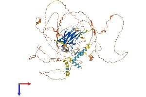 AlphaFold protein structure predicition of Mouse Recombinant Ppp1r3f Protein, UniprotID Q9JIG4