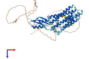 AlphaFold protein structure predicition of Human Recombinant SLC30A6 Protein, UniprotID Q6NXT4