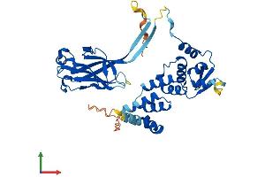 AlphaFold protein structure predicition of Human Recombinant SPOPL Protein, UniprotID Q6IQ16