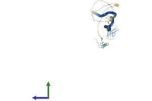 AlphaFold protein structure predicition of Mouse Recombinant Calcoco1 Protein, UniprotID Q8CGU1
