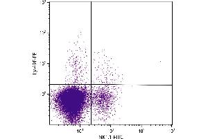 C57BL/6 mouse splenocytes were stained with Mouse Anti-Mouse Ly-49F-PE.
