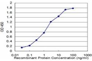 Detection limit for recombinant GST tagged FMR1 is approximately 0.