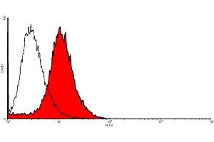 FACS analysis of TIE-2 expression in primary mouse endothelial cells (SnoMec).
