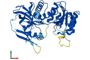 AlphaFold protein structure predicition of Human Recombinant CRYZL1 Protein, UniprotID O95825