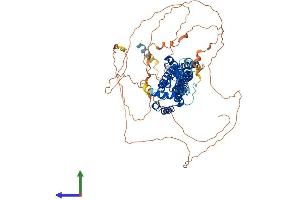 AlphaFold protein structure predicition of Mouse Recombinant Arhgap44 Protein, UniprotID Q5SSM3