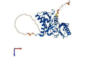 AlphaFold protein structure predicition of Mouse Recombinant Rpia Protein, UniprotID P47968