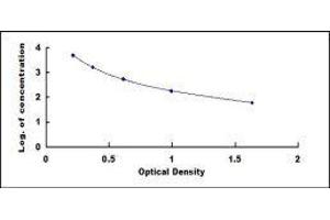 ELISA image for beta-Crosslaps (bCTx) ELISA Kit (ABIN416117) (beta-Crosslaps (bCTx) Kit ELISA)
