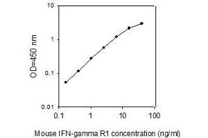 ELISA image for Interferon gamma Receptor 1 (IFNGR1) ELISA Kit (ABIN4885547) (IFNGR1 Kit ELISA)
