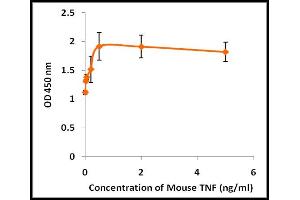 Activity Assay (AcA) image for Tumor Necrosis Factor alpha (TNF alpha) (Active) protein (ABIN5509393) (TNF alpha Protéine)