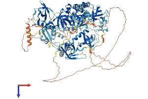 AlphaFold protein structure predicition of Mouse Recombinant Tdrd7 Protein, UniprotID Q8K1H1