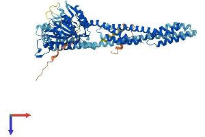 AlphaFold protein structure predicition of Human Recombinant GBP4 Protein, UniprotID Q96PP9