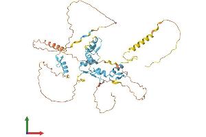 AlphaFold protein structure predicition of Mouse Recombinant Maz Protein, UniprotID P56671