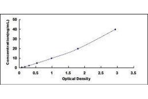 Protein C Receptor, Endothelial (PROCR) ELISA Kit
