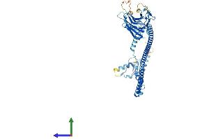 AlphaFold protein structure predicition of Human Recombinant TRIM22 Protein, UniprotID Q8IYM9