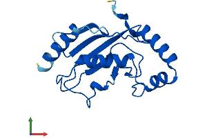 AlphaFold protein structure predicition of Human Recombinant UBE2L3 Protein, UniprotID P68036