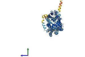 AlphaFold protein structure predicition of Mouse Recombinant Slco1a5 Protein, UniprotID Q91YY5 (SLCO1A5 Protein (AA 1-670) (His tag))