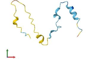 AlphaFold protein structure predicition of Mouse Recombinant Camk2n1 Protein, UniprotID Q6QWF9