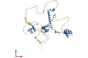 AlphaFold protein structure predicition of Human Recombinant RCOR2 Protein, UniprotID Q8IZ40