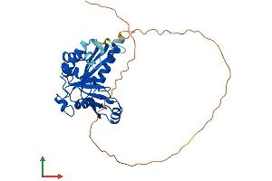 AlphaFold protein structure predicition of Mouse Recombinant Endov Protein, UniprotID Q8C9A2